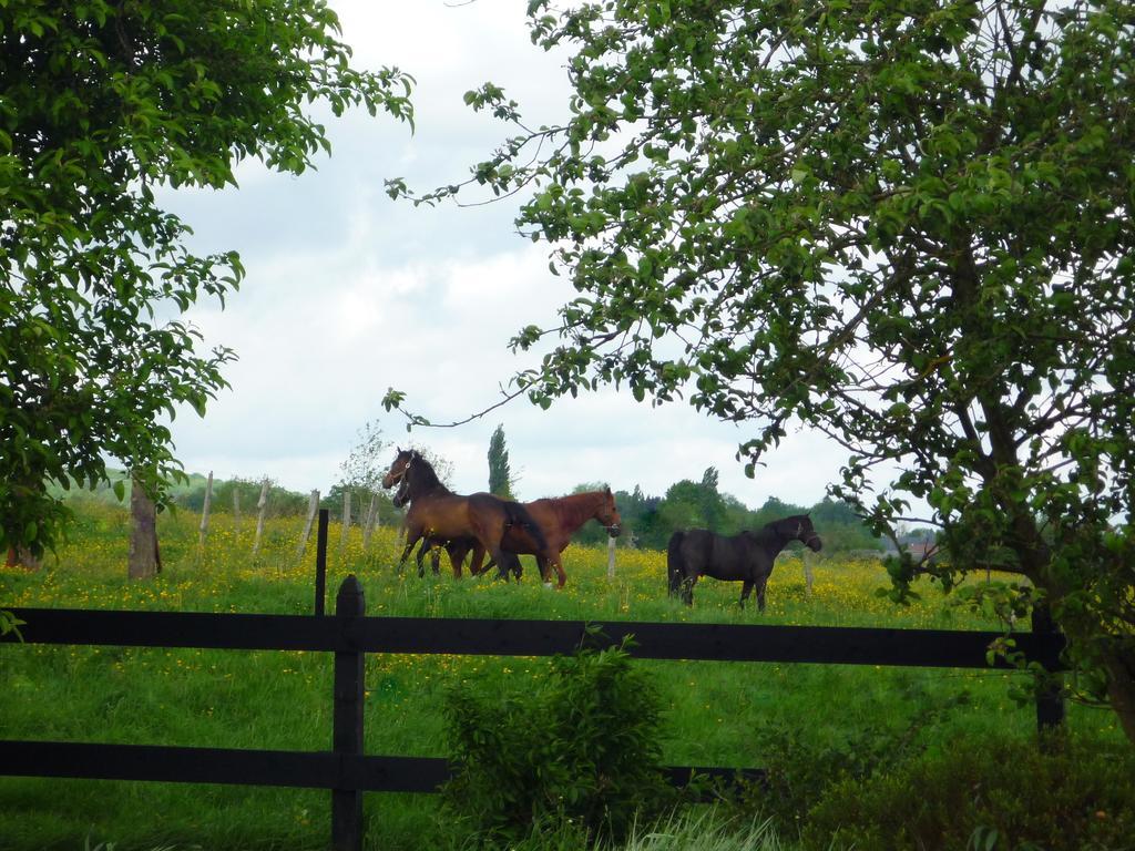 Au Mesnil Le Bas Bray Bed & Breakfast Bures-en-Bray Bagian luar foto