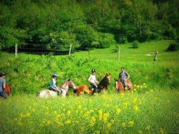 Au Mesnil Le Bas Bray Bed & Breakfast Bures-en-Bray Bagian luar foto