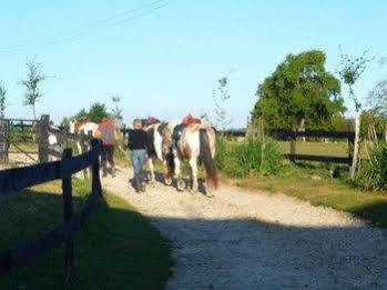 Au Mesnil Le Bas Bray Bed & Breakfast Bures-en-Bray Bagian luar foto